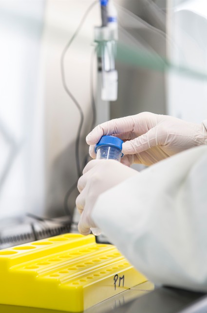 Co-developpement de DM