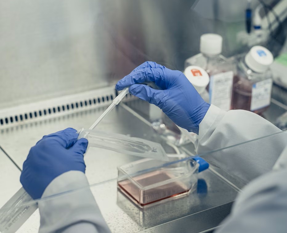 Support et services d’impression 3D