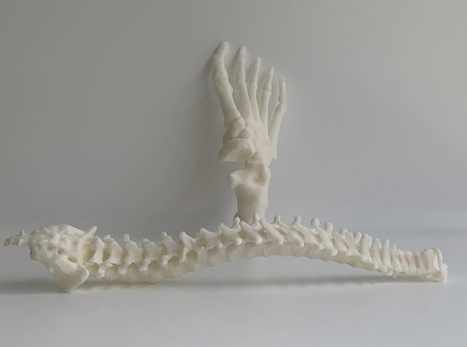 Filament polymère de grade médical ABS